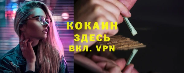 хмурый Видное